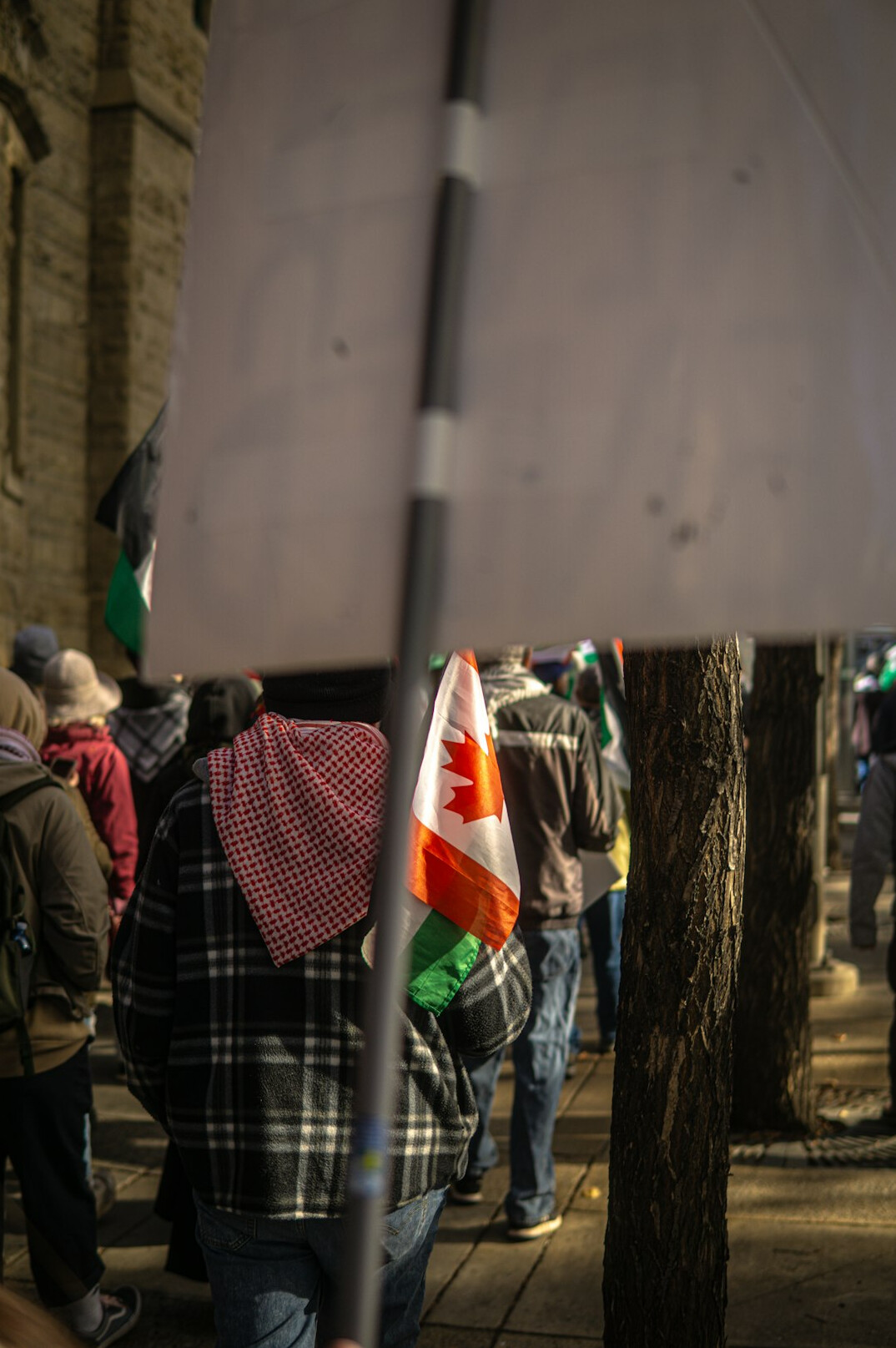 people protesting on street